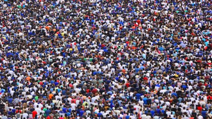 2016 dans le Sud-Ouest : nos plus belles photos
