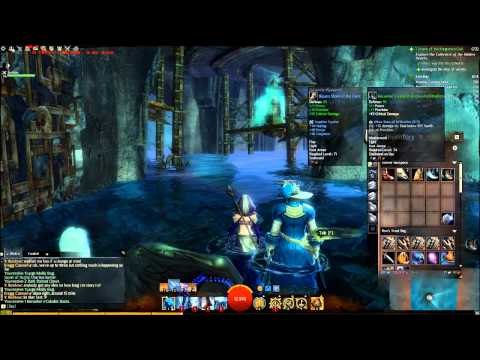 Guild Wars 2 Elementalist and Thief Duo 48