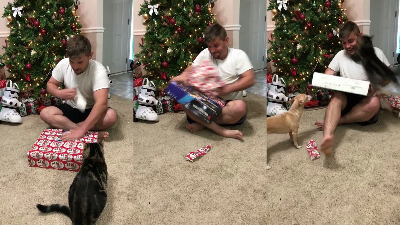 Trop excité par sa PS4 à Noël, il se fait attaquer par son chat