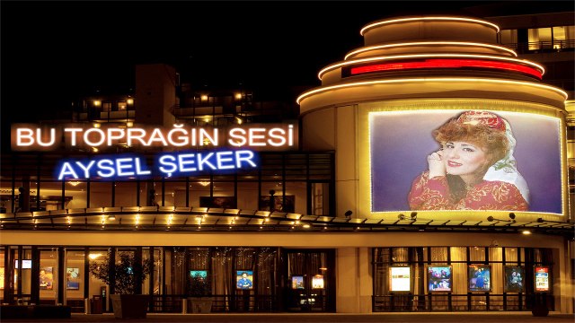 AYSEL ŞEKER AŞAĞIDAN BİR YEL ESTİ YİNE KIRDI DALLARIMI
