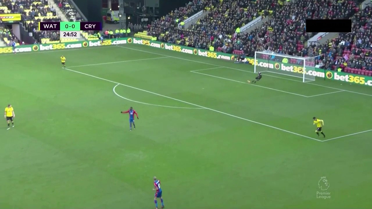 Cabaye goal