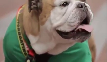 He is Lucky Man Funny Videos 2016 NEW don't try to laugh