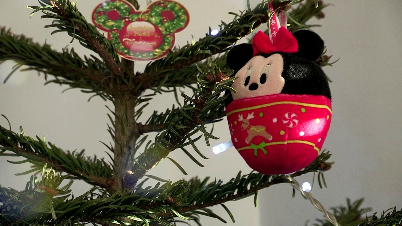 Vincennes : Comment se débarrasser de son sapin de Noël ?
