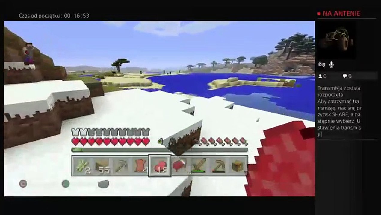 Minecraft (22)