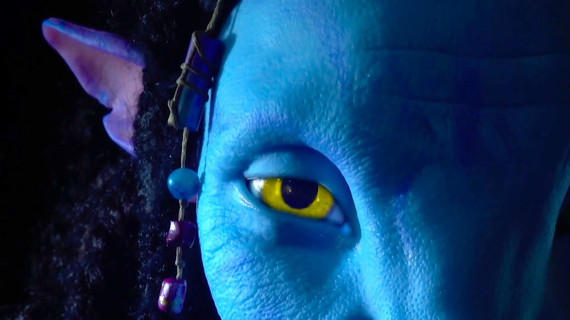 Открой аватар ворд. Avatar behind the Scenes. Pandora – the World of avatar. Аватар ворлд собачки.