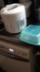 piloto macho de fugão