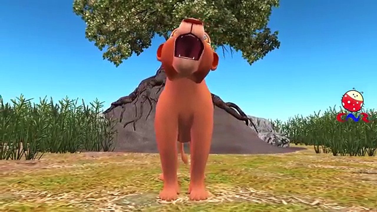 Finger Family Rhymes with Lion Tiger Cheetah | Animal Cartoons Finger Family Children Nursery Rhymes