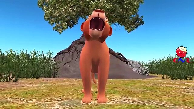 Finger Family Rhymes with Lion Tiger Cheetah | Animal Cartoons Finger Family Children Nursery Rhymes