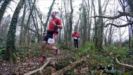 le nouveau single (début 1)