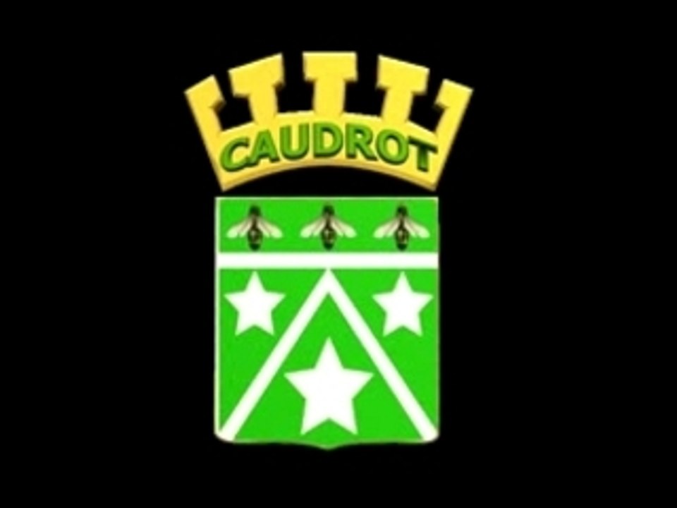 Logo 3D vaillante caudrot (MPEG2-DVD_PAL)