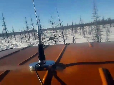 Choquant, des russes écrasent volontairement un ours dans la toundra avec leur camion