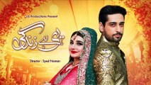 Yehi Hei Zindagi Season3 (Episode 46)