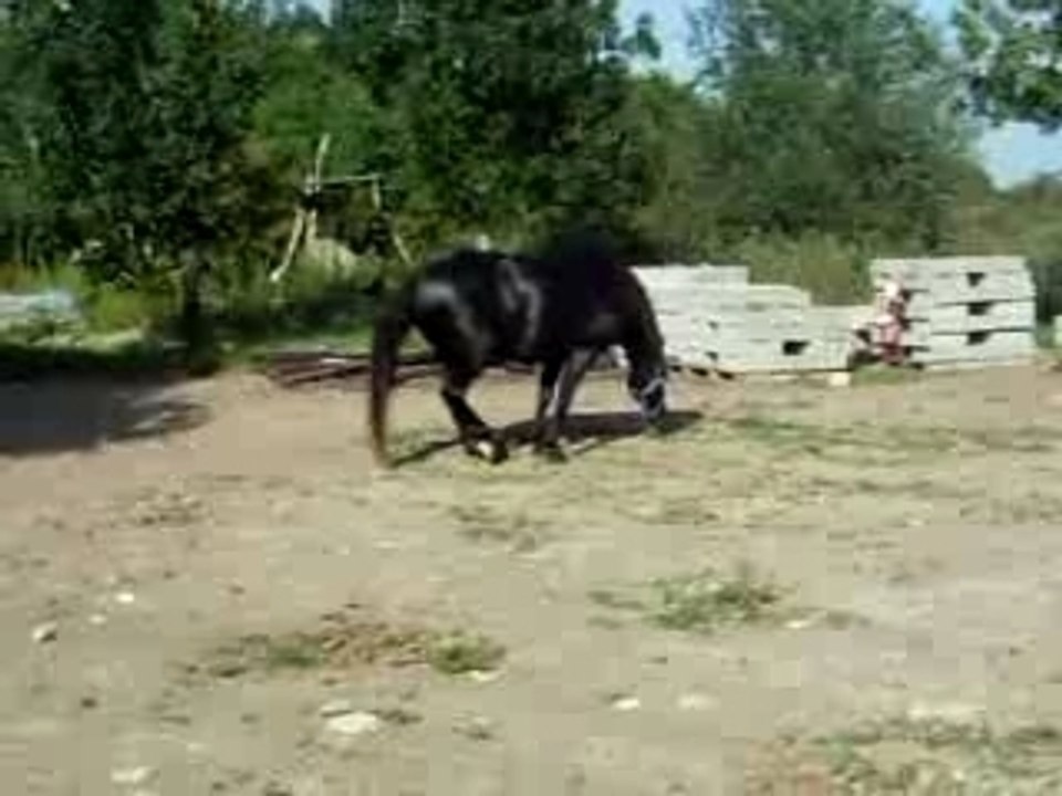 ECLAIR VIDEO