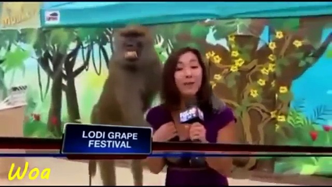 Pretty_funny_mistake_#_2_Cute_Girl_Fail_affected_by_this,_enjoy_it.