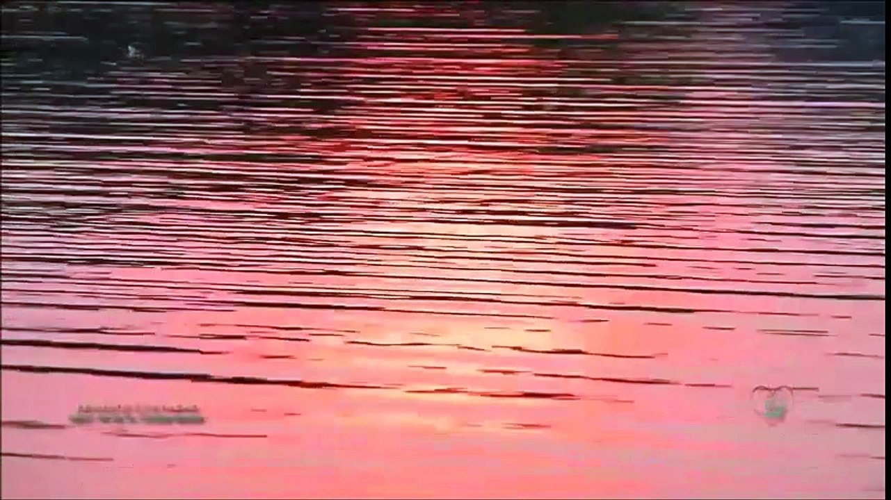 Tanrı Misafiri-Ajda Pekkan