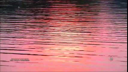 Tanrı Misafiri-Ajda Pekkan