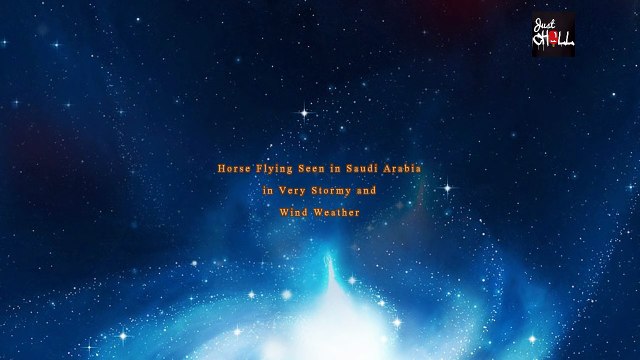 Horse flying Seen in Saudi Arabia Exclusive Video Full HD