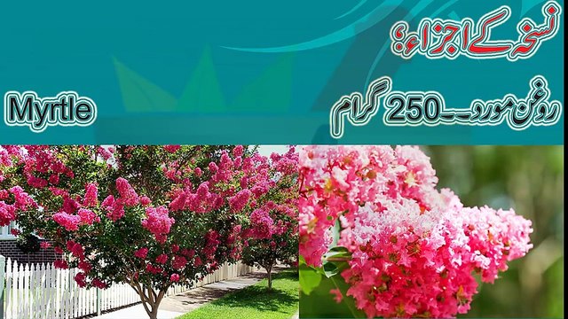 Girte balon ka ilaj in urdu Girte balon ka ilaj Balon ka girna Girte balon ka asan ilaj