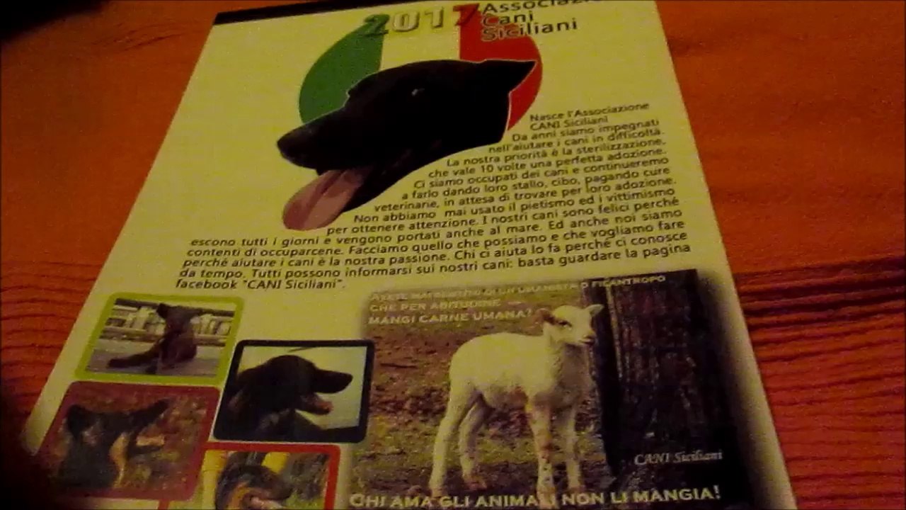Calendario CANI Siciliani 2017