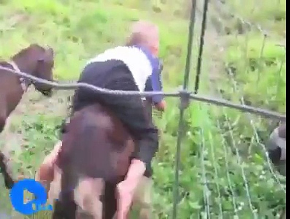 gülmekten karnınıza ağrılar girecek -D-D-D