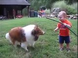 Baby and Dog Play With Hose - Funny Cats - Funny Dogs & Animals - Animals Funny
