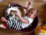 Baby Sleeps in Bed with Bull dog - Funny Cats - Funny Dogs & Animals - Animals Funny