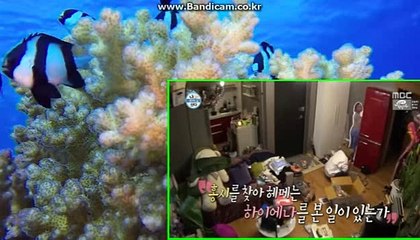 사설사이트제작/사설사이트업체/사설사이트판매/사설사이트가격/사설사이트임대 카톡:haricuty,스카이프:cuty hary