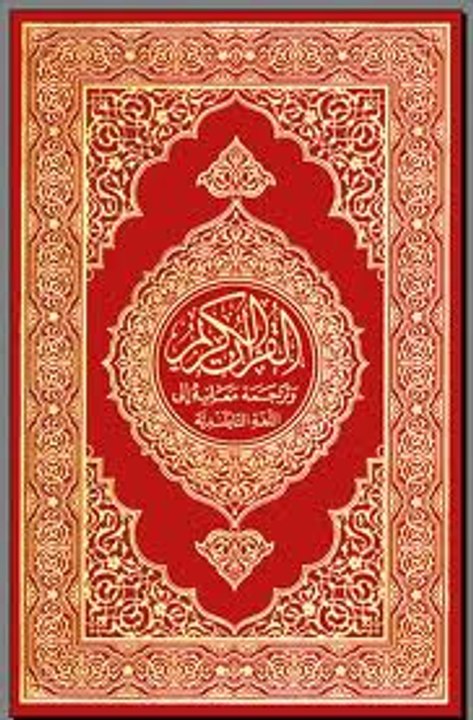 Sunni Vs Quran alone׃ Sunni destroys Stupid Quranist Quran Only / Nouman Ali Khan