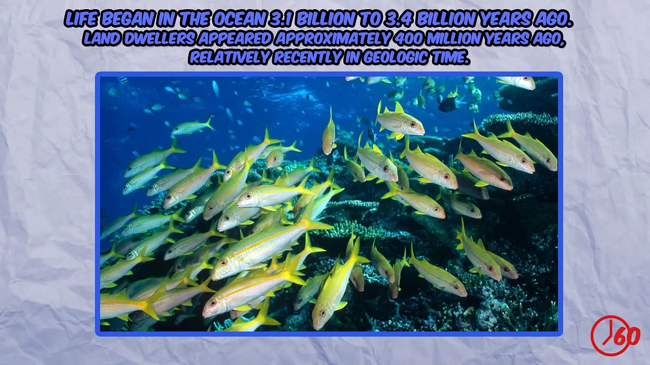 60 Seconds of Ocean FACTS-VPLfWel-XkY