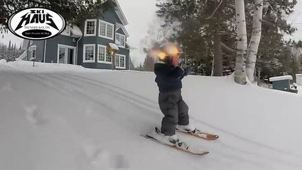 2 Year Old Hankster Skiing His First Powder Day