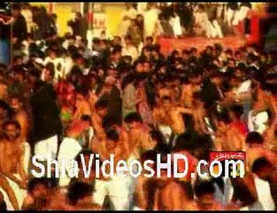 Logon Tanha To Nahi Noha by Raza Abbas Shah 2010