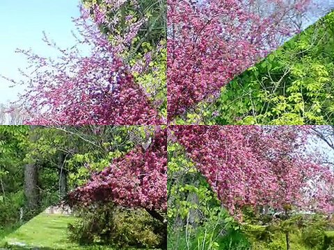 Отдых в Болгарии - Весна