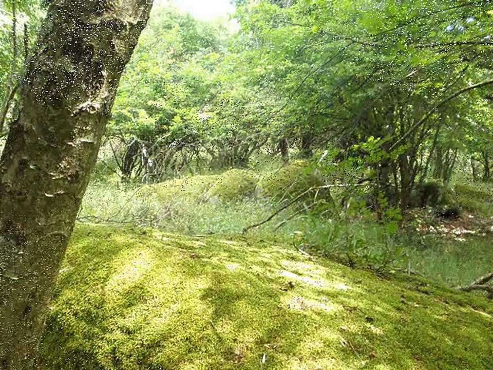 Отдых в Болгарии - Бегликташ