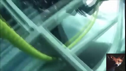 Stronger attaque clips de requin sur les humains