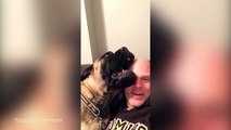 This Dog REALLY Hates His Human's Singing And Would Like This Fresh Hell To Stop