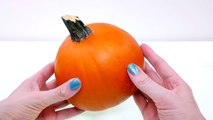 How To Make an Owl out of a Pumpkin _ Fun Fall DIY Crafts for Kids with DCTC-9a4ZWR