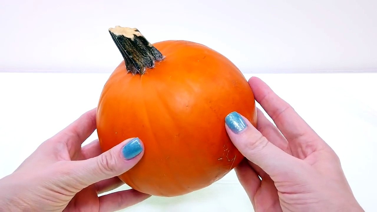 How To Make an Owl out of a Pumpkin _ Fun Fall DIY Crafts for Kids with DCTC-9a4ZWR