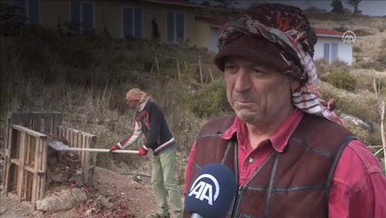 İş dünyasını bırakıp çiftlik kurdu