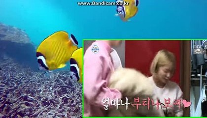 [totosolution]쉽게접할수있는관리자,최신형솔루션 CODSOFT