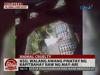 24Oras: Aso, walang awang pinatay ng kapitbahay raw ng may-ari