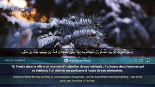 Sourate Al-Qasas (1-42) - Ahmed Nufays سورة القصص - أحمد النفيس