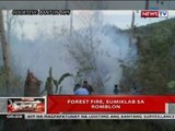 QRT: Forest fire, sumiklab sa Romblon