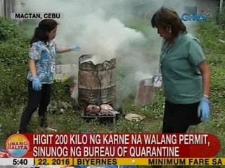 UB: Higit 200 kilo ng karne na walang permit, sinunog ng Bureau of Quarantine sa Mactan, Cebu