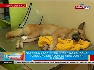 Mukha ng isang aso, nasira matapos barilin ng 'di pa nakikilalang salarin
