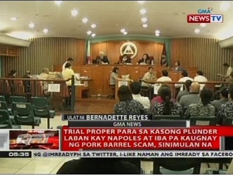 Trial proper para sa kasong plunder laban kay Napoles, sinimulan na