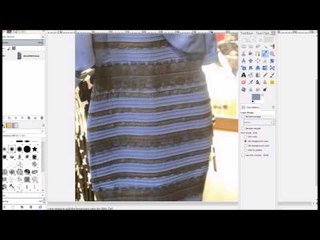 What Color IS The Dress? Black and Blue
