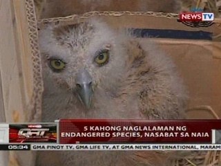 5 kahong naglalaman ng endangered species, nasabat sa NAIA