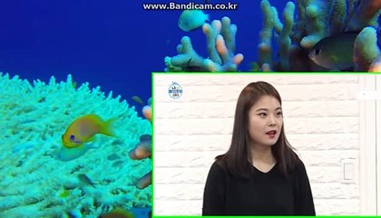 ⓑⓑ토토제작ⓓⓓ 토토솔루션 올자동 사설토토사이트 (카톡haricuty스카이프cuty hary)