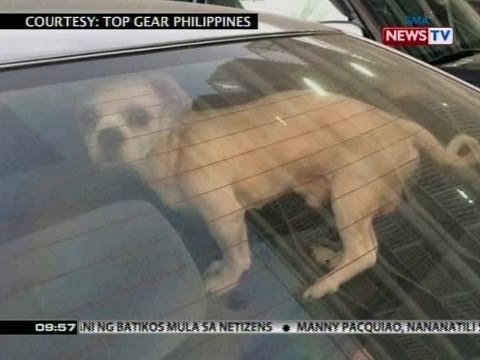 SONA: Litrato ng asong iniwan sa loob ng nakaparadang sasakyan, nag-viral sa social media