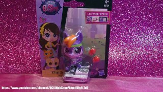 Littlest Pet Shop LPS лпс